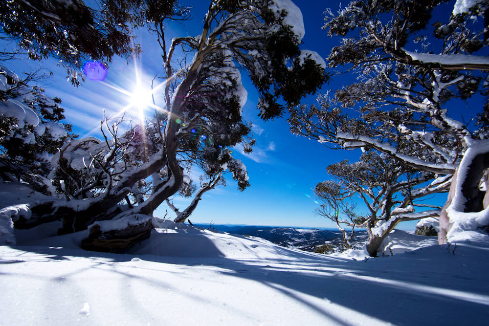 snowy_mountains_winter.jpg